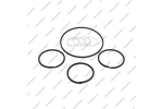 Комплект уплотнительных колец (8шт.)