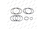 Комплект уплотнительных колец (9шт.)