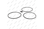 Комплект уплотнительных колец (11шт.)