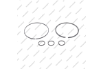 Комплект уплотнительных колец (5шт.)*