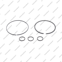 Комплект уплотнительных колец (5шт.)*
