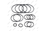 Комплект уплотнительных колец (13шт.)