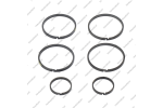 Комплект уплотнительных колец (6шт.)