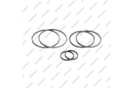Комплект уплотнительных колец (6шт.)
