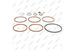 Комплект уплотнительных колец (13шт.)